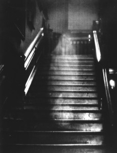 Brown Lady of Raynham Hall